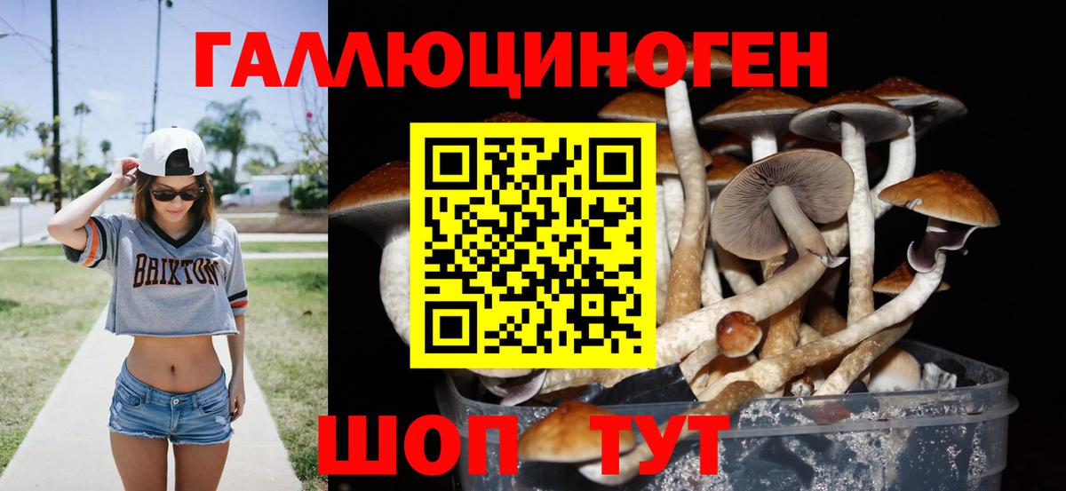 ГАШИШ  ГАШ  NBOMe  APVP СОЛЬ   Канабис  Великие Луки  Вход с VPN  Купить наркотики  МЕТ  Мефедрон  