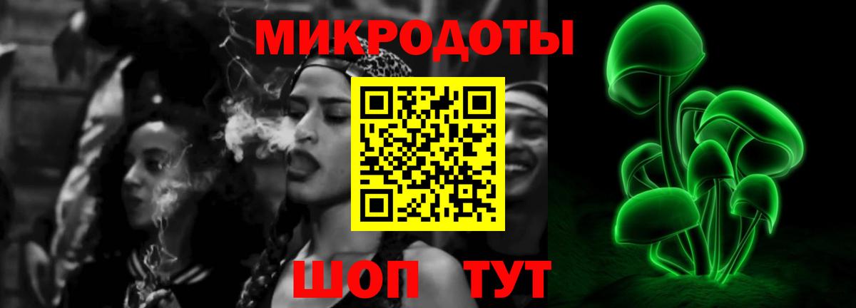 Псилоцибиновые грибы Psilocybe  Вход с VPN  Великие Луки 